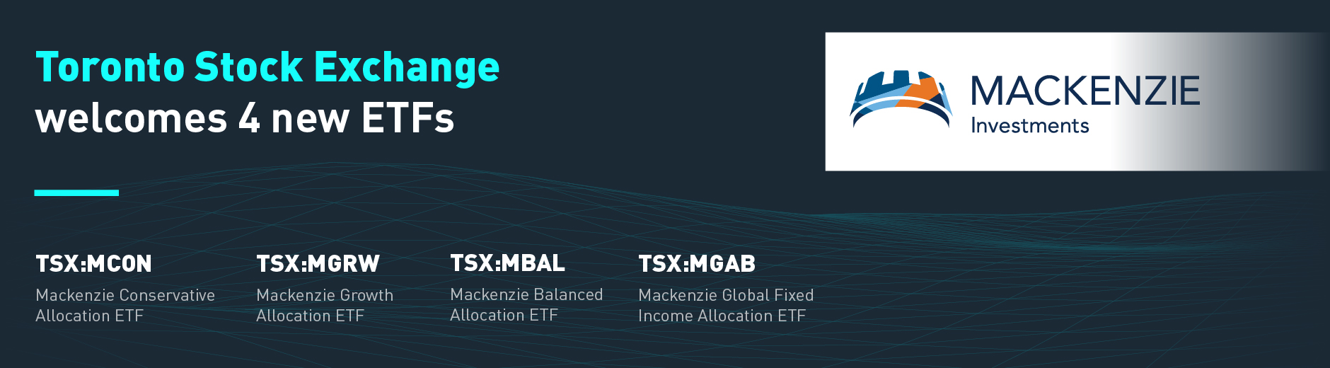 TMX TSX | TSXV - Toronto Stock Exchange And TSX Venture Exchange