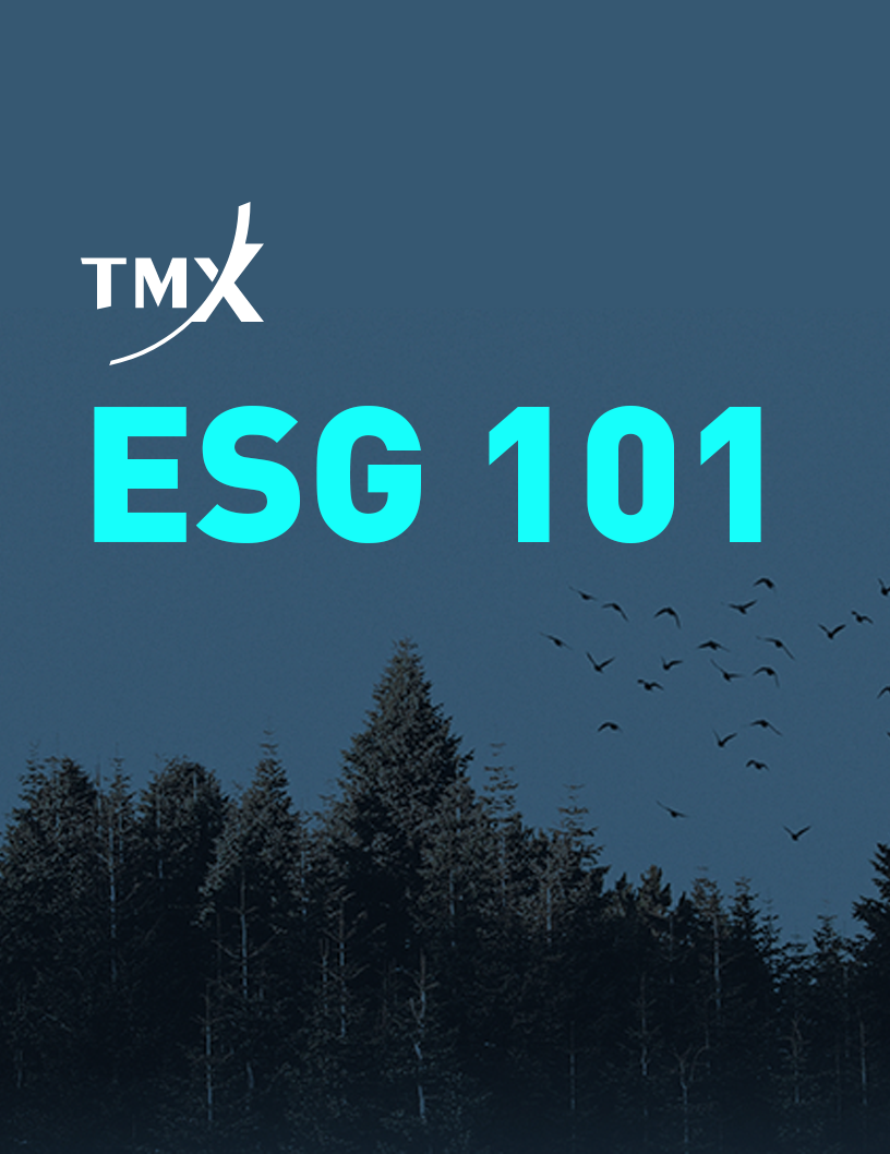 ESG 101